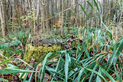 Was vom Schacht 372 übrig ist: ein Deckel im Wald.