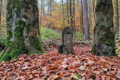 Der Lorenzstein steht einen Schritt außerhalb des angebotenen Waldstücks.