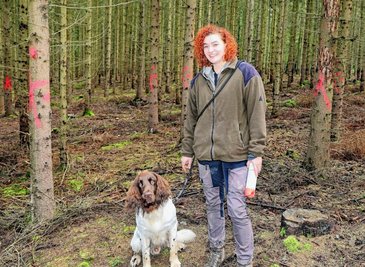 Maria Bischoff und ihr Hund Chester laufen auch den Abschnitt oberhalb des Leubnitzweges im Werdauer Wald regelmäßig ab und kontrollieren die Bäume auf Borkenkäferbefall. 