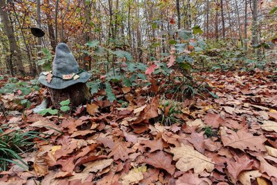 Ein geheimnisvoller Hut schickt Besucher in den Wildbacher Kunst- und Sagenwald, den Wikusawa. Der ist für Kinder, nicht für Schatzsucher.