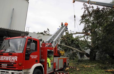 Auch die Crimmitschauer Firma Walther Technik ist vom Unwetter schwer getroffen worden. Eine alte Eiche sei auf die Produktionshalle gefallen, teilte das Unternehmen mit.