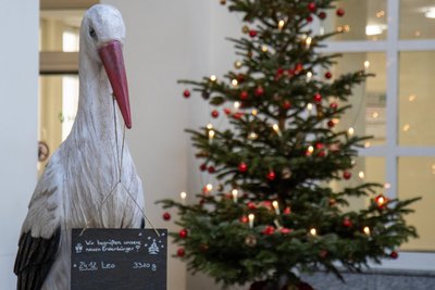 Leo kam am frühen Morgen des 25. Dezember im Helios-Klinikum Aue auf die Welt.