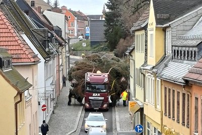 Der Weihnachtsbaum wurde über die Bahnhofstraße transportiert.