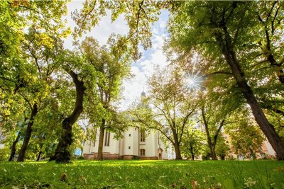 Ist der zentrale Lutherpark ein Schwerpunkt in Sachen Drogenverkauf? 