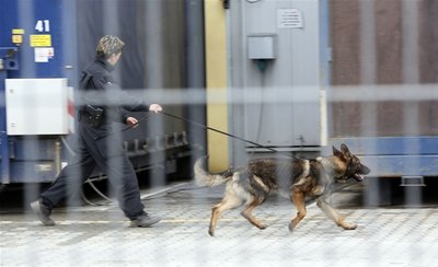 Acht Sprengstoffsuchhunde kamen am Dienstag in Chemnitz zum Einsatz, verdächtige Gegenstände wurden nicht gefunden.