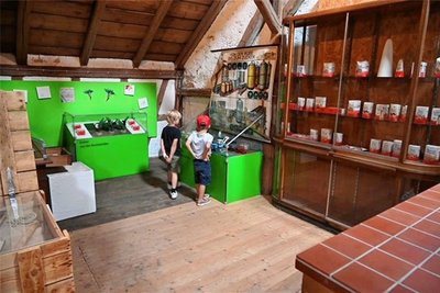 Bei den Familienführungen am Sonntag im Landwirtschaftsmuseum Schloss Blankenhain gibt es viel zu entdecken.