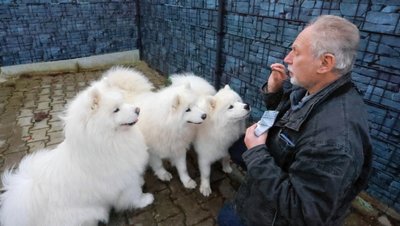 Wolfgang Berger aus dem Lichtentanner Ortsteil Stenn mit den Hunden Baron, Xenia und Destiny. 