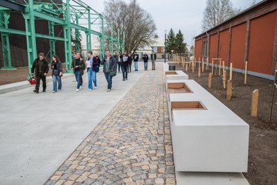 Perspektivisch sollen die Bäume auch an den Sitzmöglichkeiten Schatten spenden.
