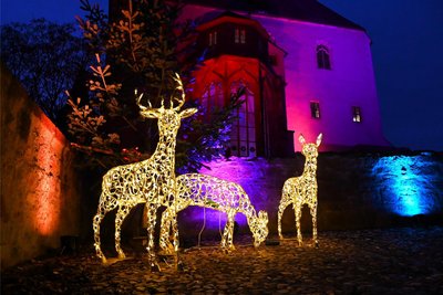Mit Leuchttieren wurde auch das von außen bunt angestrahlte Schloss Rochlitz in Szene gesetzt.