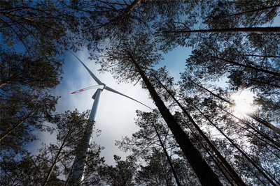 Windräder im Wald – wie auf dem Foto in Brandenburg – werden mancherorts kritisch gesehen. Auch das ist Teil von Stellungnahmen aus dem Erzgebirge.