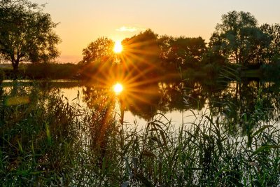 Abends haben Schwimmer Seen oft für sich.