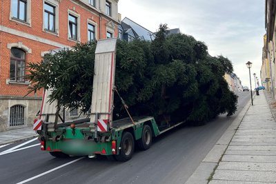 Dank breiter Straßen gestaltete sich der Transport in diesem Jahr einfach.