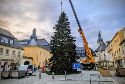 Gegen 14 Uhr stand dann mit etwas Verspätung der Weihnachtsbaum auf dem Zschopauer Neumarkt.