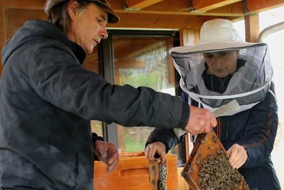 Die Teilnehmer gingen mit den Bienen auf Tuchfühlung.