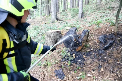 Einsatz im Wald bei Schwarzenberg: Die Feuerwehr konnte den Brand schnell löschen.