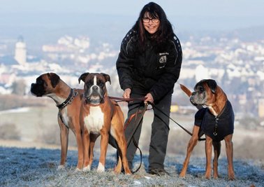 Hundetrainerin Uta Mönnicke mit ihren Boxern: Nikita vom Silvermoon, Rufname Niki (rechts), Alvina vom Antidorcas (links) und der Jüngste, Persephone von der Mörike Allee (Mitte). 