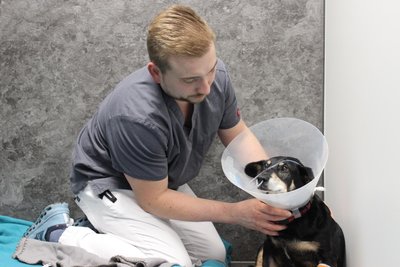Tierarzt Marcus Hoppe vom Zentrum für Kleintiermedizin Annaberg-Buchholz mit Hund Jasi, der ein Unfallopfer war. Ab Januar gibt es gravierende Änderungen im Kleintiernotdienst in Sachsen.