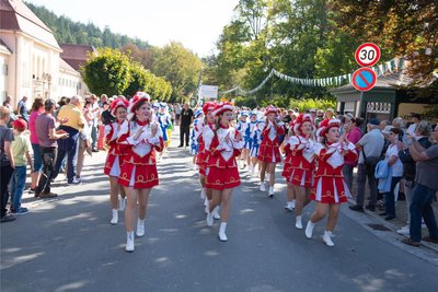 Der Elsteraner Fosnetclub sorgte mit über 50 Mitgliedern beim Festumzug auf den Straßen von Bad Elster für Stimmung.