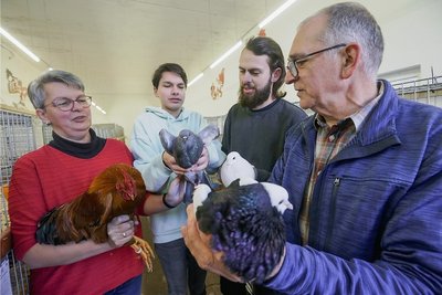 Familie Weinert aus Diethensdorf (hier Mutter Tabea, die beiden Söhne Anton und Max sowie Vater Thomas, von links) mit ihren preisgekrönten Vögeln: Zwerg-New-Hampshire-Hahn, zwei Schlesische Kropftauben und eine Elster-Kropftaube. Zur Chemnitztalschau erhielten sie Bestnoten. 
