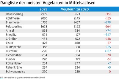 In Mittelsachsen wurden zur Wintervogelzählung 2025 in 389 Gärten insgesamt 14.270 Vögel gezählt. 587 Vogelfreunde haben sich beteiligt. 2020 zählten Naturfreunde in 353 Gärten zwischen Zettlitz und Neuhausen in Summe 14.633 Vögel.