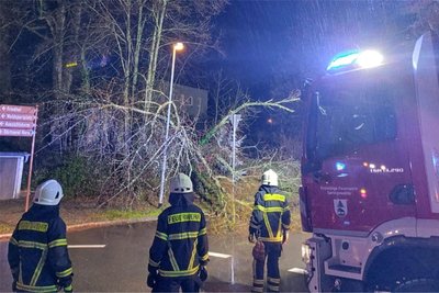 Sturmböen ließen eine bereits morsche Birke und einen Kirschbaum auf die Fahrbahn der Waldstraße stürzen.