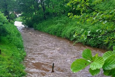 Der 10. Juni war der niederschlagsreichste Tag des vergangenen Monats. Die Wassermassen ließen kurzzeitig auch den Pegel des Zwota-Bach (Foto) deutlich steigen.