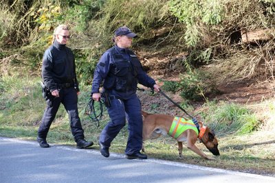 Finden Hunde diesmal eine Spur des seit einer Woche vermissten Erzgebirgers? Die Tiere sind auch als Leichenspürhunde ausgebildet.