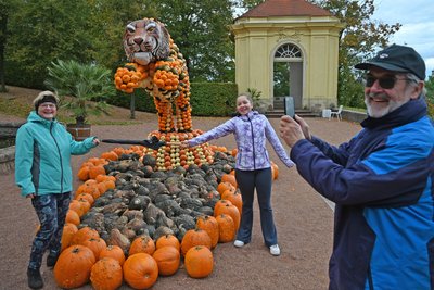 Der Kürbis-Tiger springt über das Stöckchen: Donna mit Großeltern aus Brand-Erbisdorf.
