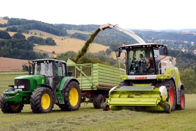 Rund ein Drittel ihres Grünlands bewirtschaftet die Bauernland AG nach EU-Bio-Richtlinie.