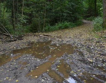 Nach dem regenreichen Sommer stehen Waldwege unter Wasser, hier an der Weggabelung hinter dem Ortsausgang Kirchbach in Richtung Oberschöna. Auch Baumstämme versperren die Wege.