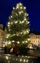 Platz 3 im Landkreis: Die Blautanne in Hainichen wurde Ende November aufgestellt und ist 13,57 Meter hoch.