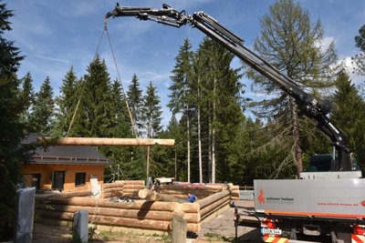 Das Blockhaus für das neue waldpädagogische Erlebniszentrum wird im Arboretum Augustusburg aufgebaut. 60 Fichtenstämme sind dafür bearbeitet worden. 