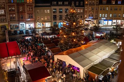Der Weihnachtsbaum auf dem Markt in Mittweida ist eine Fichte.
