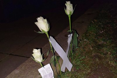 Mit weißen Rosen und Handzetteln wird derzeit an verschiedenen Stellen im Plauener Stadtgebiet an das Schicksal deportierter Plauener Juden und die Ermordung der Geschwister Scholl vor 79 Jahren erinnert.
