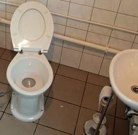 Das Plumpsklo nutzen alle Personen im Gebäude - beider Geschlechter.