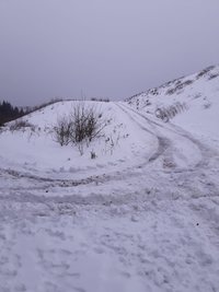 Autospuren, wo sonst Langlaufloipen sind.