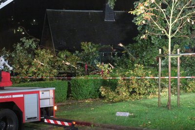 In Schneeberg drohte ein Baum am Kirchplatz auf ein Wohnhaus zu fallen. Ein großer Ast war schon abgebrochen.