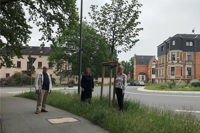 Sie haben an den Bahnhofstraßen-Linden noch mal nach dem Rechten geschaut. Von links: Peter Tillak, früherer Vereinsvorsitzender, Fielmann-Niederlassungsleiterin Doren Poser und die neue Vereinsvorsitzende Ines Schröter-Reißmann.