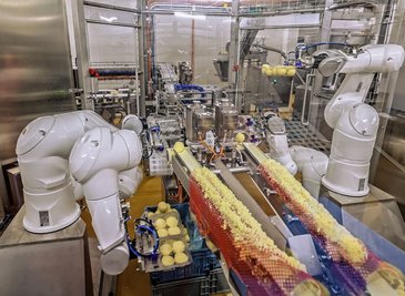 Aus der Teigmasse werden die Klöße geformt. Die Roboter können pro Tag rund 180.000 Klöße in die Verpackungen legen. 