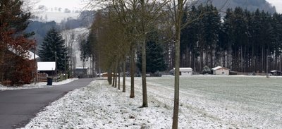 Auf dieser Fläche am Siedlerweg in Hopfgarten sollen perspektivisch neue Eigenheime entstehen. 