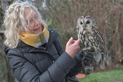 Ungewohnte Situation für Redakteurin Astrid Ring: Waldkauz Filou nimmt die Streicheleinheiten gelassen.