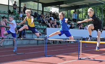 Beim 60-Meter-Hürdenlauf der M 10 sind von links Veit Gruber (SV Theuma), Gesamtsieger Colin Ludwig (ESV Lok Adorf), Toni Hengst (SG Jößnitz) und Charly Wolfram (SC Syrau) zu sehen. 