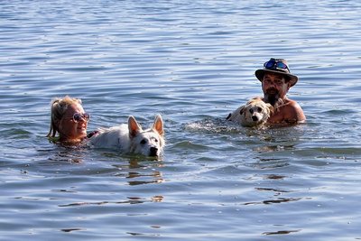Erfrischung für Baily und Rex. Auch Frauchen und Herrchen genießen die Urlaubsfreuden und halten es für selbstverständlich, dass auf dem Zeltplatz Vierbeiner an die Leine gehören und Hinterlassenschaften entsorgt werden.