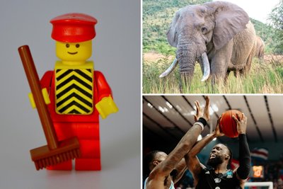 Fünf Tipps fürs erste Januarwochenende in Chemnitz.
