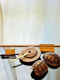 Bei den Sternstunden im Naturalienkabinett ist viel Neues zu entdecken. 