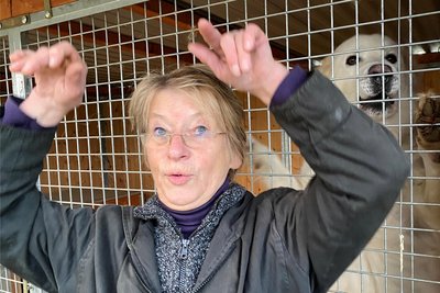 Arco, der Riese. Wenn sich der Pyrenäenberghund aufstellt, überragt der dreijährige Rüde Adelheid Friedrich. Das Tier wurde als süßer Welpe gekauft - und wuchs den Haltern bald über den Kopf. Weil so ein Herdenschutzhund viel mehr braucht als Futter und Gassigehen.