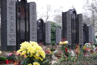 Auf den Zwickauer Friedhöfen gibt es unterschiedliche Bestattungsformen. Nun ändern sich die Preise. Foto: Mario Dudacy