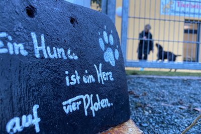 Vereinschefin Adelheid Friedrich interpretiert diese am Eingang des Limbacher Tierheims stehende Botschaft so: „Auch ein Tier hat seine Würde. Ein Tier ist eben kein Ding.“