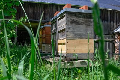 Maik Fethke und Bettina Mertens haben die Linderei in Weigmannsdorf gegründet. Dort bringen sie neue Anbau-Philosophien wie Permakultur oder Market Gardening ins Erzgebirge. 
