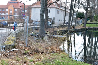 An der Lessingstraße in Freiberg soll die Mauer zum Tierpark geschlossen und ertüchtigt werden.
